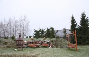 Bajorų gyventoja Aldona Macijauskienė sakė prašiusi elektros tiekėjų iškelti stulpą iš jos žemės valdų