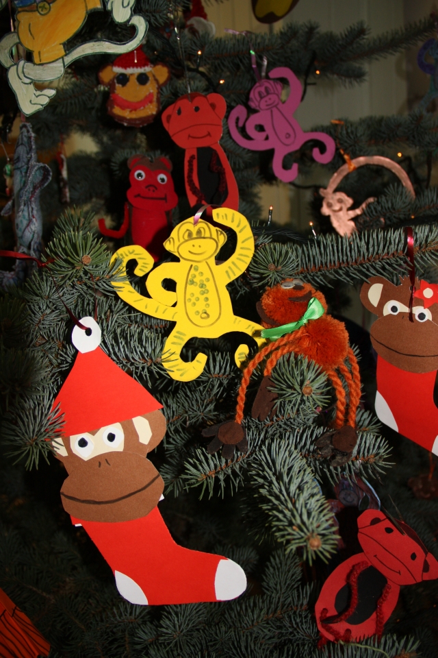 D.Zibolienės nuotr. D.Zibolienės nuotr.