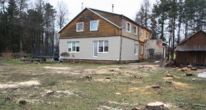 Nupjauti pavojų kėlę beržai ir pušys