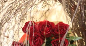 Milenos Puchovos nuotr.