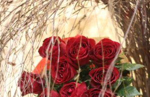 Milenos Puchovos nuotr.