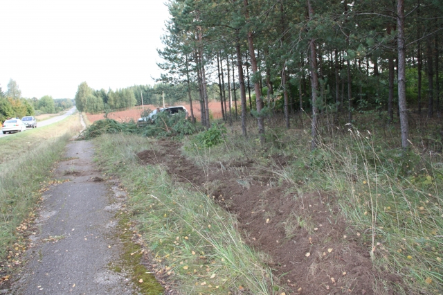 Autoavarijoje lengvasis automobilis numušė du medžius.