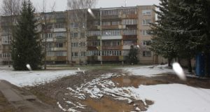 Žalioji veja – taip vadinasi ši teritorija Rokiškio mikrorajone prieš Jaunystės g. 4-ąją namą. D. Zibolienės nuotr.