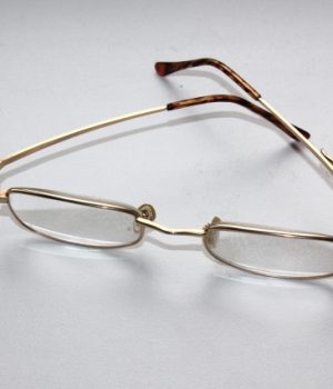 Respublikos gatvėje rasti akiniai