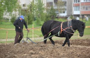Geriausiai pasirodęs mūsų rajono artojas - Vytautas Kundelis.