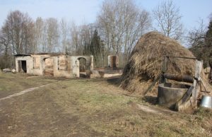 Iš seno tvarto liko tik sienos