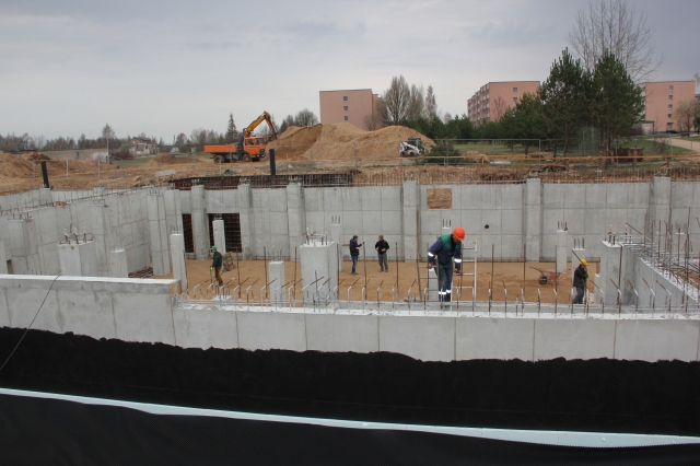 Rokiškio baseino ateitis - be varžybų