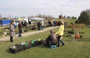 Velniakalnyje pirmoji mugė "Sveikas