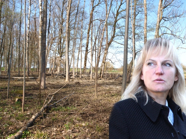 Seniūnės Dalios Janulienės nuomone