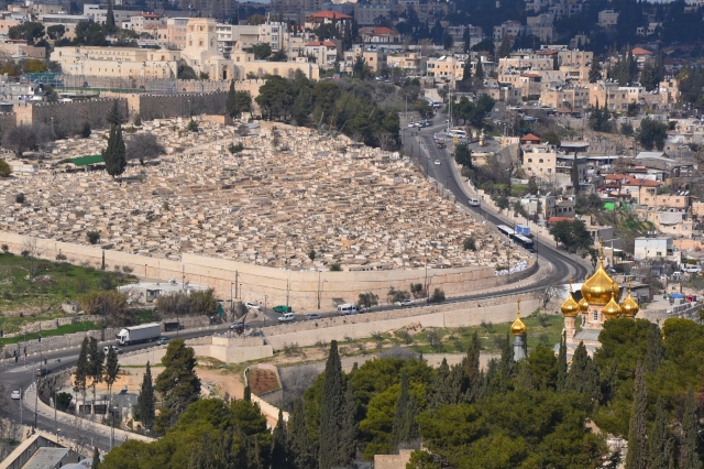 Vaizdas nuo Alyvų kalno Jeruzalėje. O. Mackevičienės archyvo nuotr.