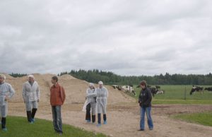 Maisto grandinė „nuo lauko – iki stalo“ Sauliaus Jasinevičiaus pieno ūkyje. R.Grigaliūno nuotr.