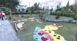 Floristiniai kilimai - „Jurginžiedžio" akcentas. I.Belovienės nuotr.