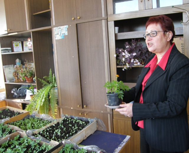 „Gvazdikėlių daigeliai jau krauna žiedus – belieka sulaukti šiltesnių orų“