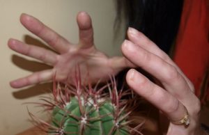 Aštuoniolikmetė iš savo tėvo išsireikalavo alimentus Dūris į širdį...