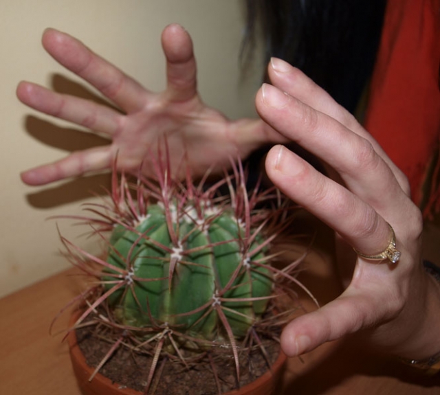 Dūris į širdį...