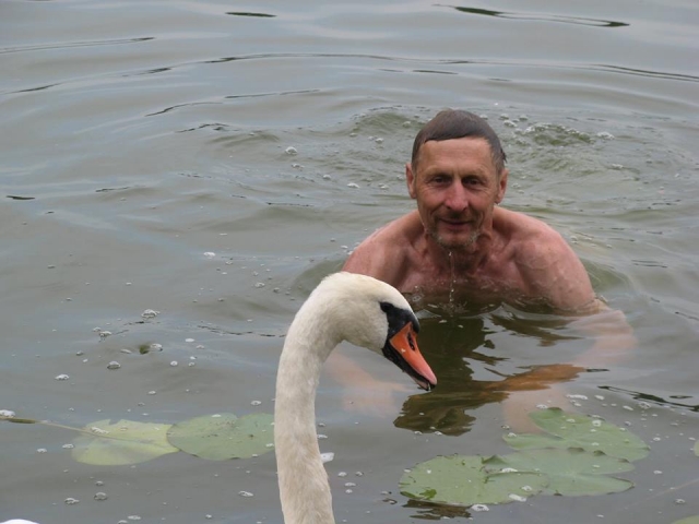 Panemunėlietis Romualdas Kaminskas bando prisiartinti prie gulbės. Asmeninio archyvo nuotr.