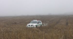 Atokų Mataučyznos kaimą 2006–aisiais išgarsino šis kanapių laukas. A.Minkevičienės nuotr.