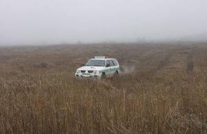 Kanapių augintojo pergalė, arba kaip Liuksemburgas įklampino Lietuvą Atokų Mataučyznos kaimą 2006–aisiais išgarsino šis kanapių laukas. A.Minkevičienės nuotr.