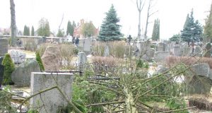 Vėjo išversta eglė uždengė keletą kapų. N.Byčkovskio nuotr.