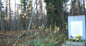 Kas turi pasirūpinti ant kapų nuvirtusiu medžiu? L.Dūdaitės nuotr.