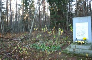 Kas turi pasirūpinti ant kapų nuvirtusiu medžiu? L.Dūdaitės nuotr.