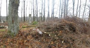 Kapinių nepriežiūra bado akis. R.Milaknienės nuotr.