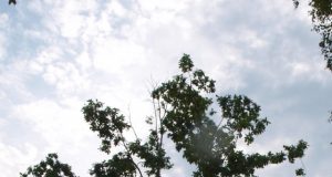 Gyvybė - brangiausias žmogaus turtas. Tačiau vis dažniau mus sukrečia žinios apie savižudybes.