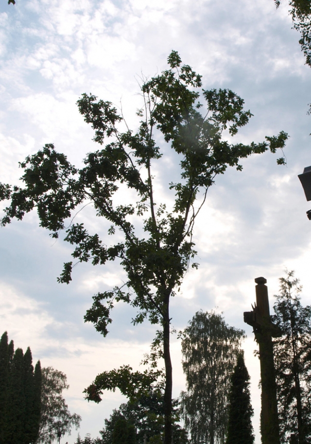 Gyvybė - brangiausias žmogaus turtas. Tačiau vis dažniau mus sukrečia žinios apie savižudybes.