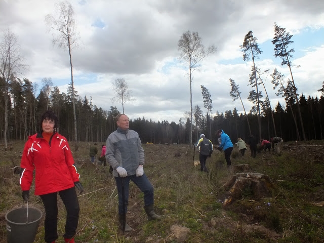 Į pavasarines miškasodžio talkas sukviesti visuomenę - buvusio ilgamečio urėdo Rimanto Kapušinsko (dešinėje) idėja. A.Minkevičienės nuotr. Į pavasarines miškasodžio talkas sukviesti visuomenę - buvusio ilgamečio urėdo Rimanto Kapušinsko (dešinėje) idėja. A.Minkevičienės nuotr.