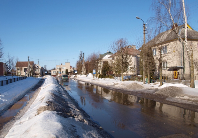 Rajono tarybai teko naikinti Mėtų gatvę