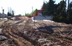 Purvyne skęstantys kavoliškėnai maitinami pažadais Kavoliškėnus išsekino sumaitotos gatvės.