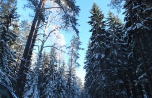 Komisija spręs