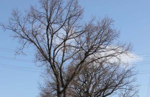 Miesto gatvės šį pavasarį tapo tarsi fronto prieigos. D.Zibolienės nuotr.