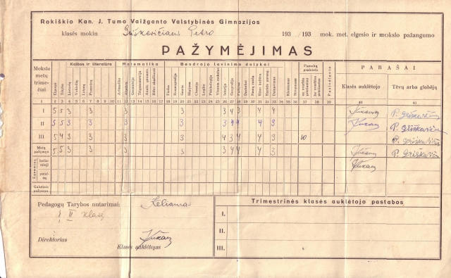 Šie pažymiai turbūt geriausiai iliustruoja