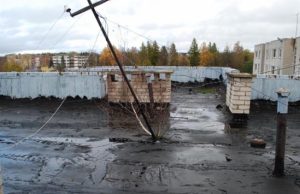 Ant stogo augantys medžiai  rodo apgailėtiną jo būklę. L.Zakarevičiūtės nuotr.