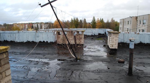 Ant stogo augantys medžiai rodo apgailėtiną jo būklę. L.Zakarevičiūtės nuotr. Ant stogo augantys medžiai rodo apgailėtiną jo būklę. L.Zakarevičiūtės nuotr.
