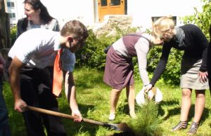 Išsiskirdami su kolegija absolventai jos aplinką papuošė juodąja pušimi. R.Kirstuko nuotr.