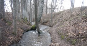 Janinos Peciukonienės nuotr.