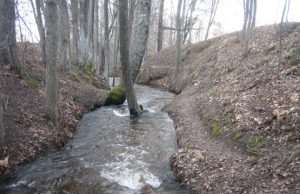 Janinos Peciukonienės nuotr.