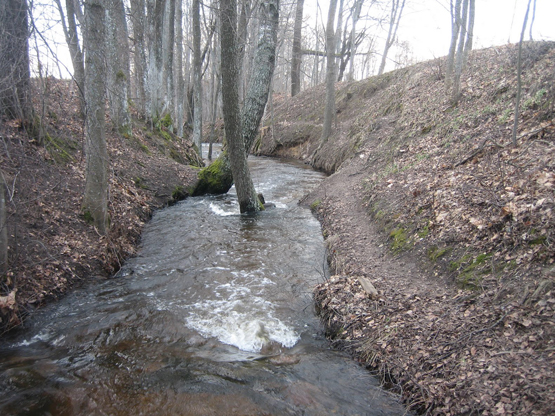Janinos Peciukonienės nuotr.