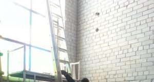 Dailininkas Arvydas Bagdonas (dešinėje) ir medžio meistras Gintaras Varnas apžiūrėjo senąjį pastatą