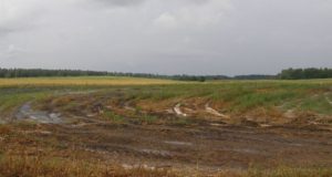 Dumblas bei išrūgos susimaišė su lietumi.