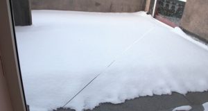 Nuo šalčio įskilo Seimo nario kabineto lango stiklas. D.Zibolienės nuotr.