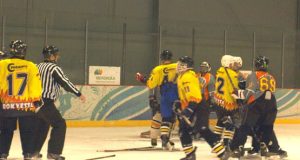 Rungtynių akimirka. L.Dūdaitės nuotr.