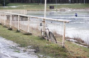 Netvirtas ledas pavojungas  poledinės žvejybos mėgėjams. N.Byčkovskio nuotr.