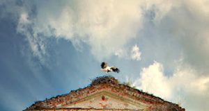 I.Makricko fotografija „Apie poną ir jo dvarą“.