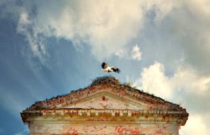 I.Makricko fotografija „Apie poną ir jo dvarą“.