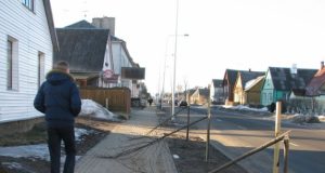Nulaužti 23 medeliai.