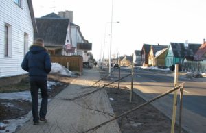 Vandalai išlaužė Respublikos gatvės liepaites Liepaičių alėja – tarsi po viesulo: chuliganai smaginosi laužydami medelius