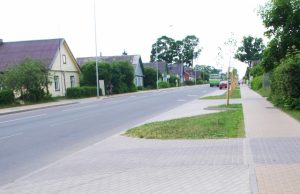 Vietoj dviejų liepaičių liko tik maži kelmeliai. L.Dūdaitės nuotr.